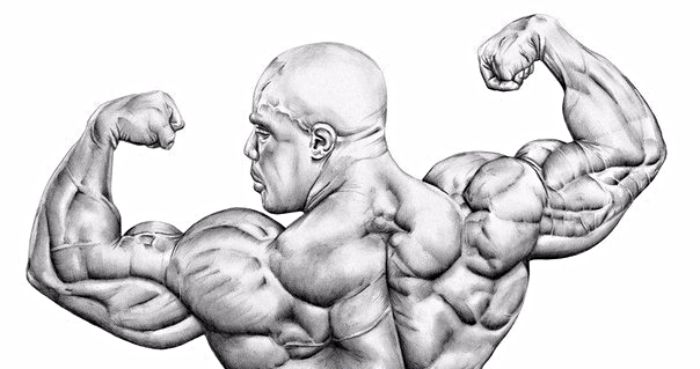 тренинг со стероидами – полезно или вредно?